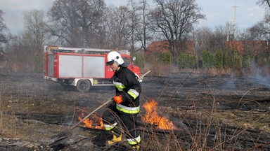 Płoną trawy w Warszawie. W trzech miejscach