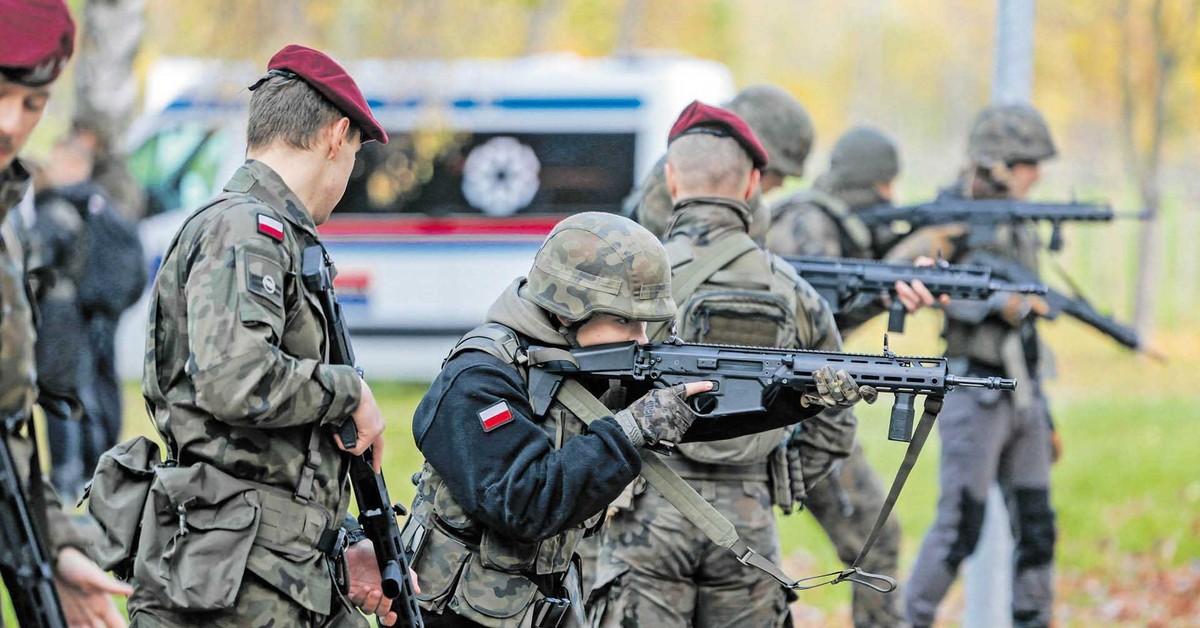 Wojsko: „dobrowolsi” lepsi niż powszechny pobór?