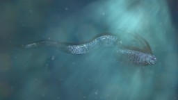 aż dwie ryby "końca świata" znaleziono w meksyku. nadciąga kataklizm?