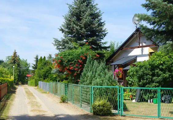 Działkowcy, uważajcie na kontrole. Mogą skończyć się wysokimi karami