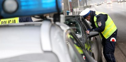 Policjanci zdębieli, gdy zatrzymali auto do kontroli. Niecodzienne sceny w Witkowicach