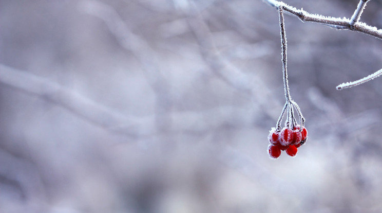 Továbbra is tarolnak a mínuszok /Illusztráció: Pexels