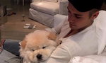 Justin Bieber oddał psa, bo był chory?