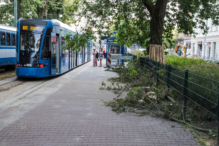 Śmieci na Plantach Dietlowskich w Krakowie