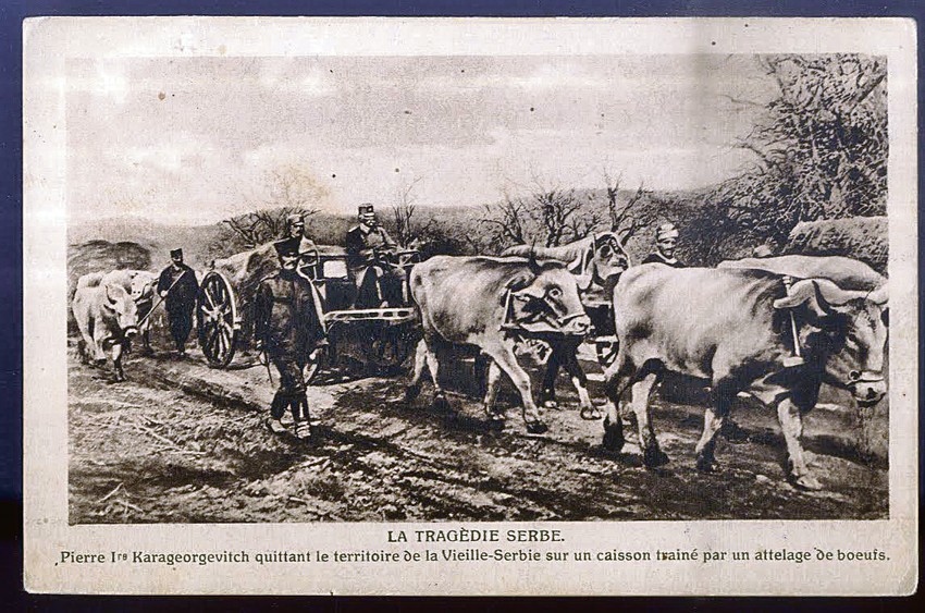 Fotografija Vladimira Becića “Srpska tragedija” (1915, Narodna biblioteka Srbije), na kojoj je stari kralj Petar I