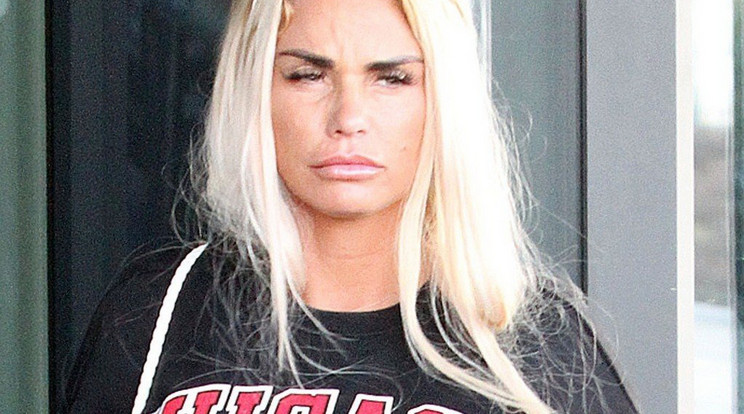 Betörtek Katie Price házába / Fotó: Profimedia-Reddot