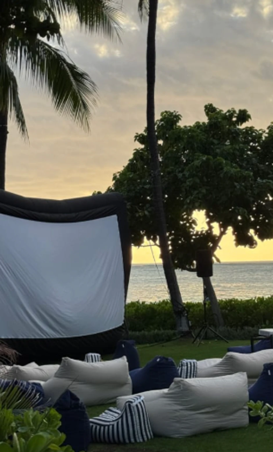 Jelisaveta Orašanin