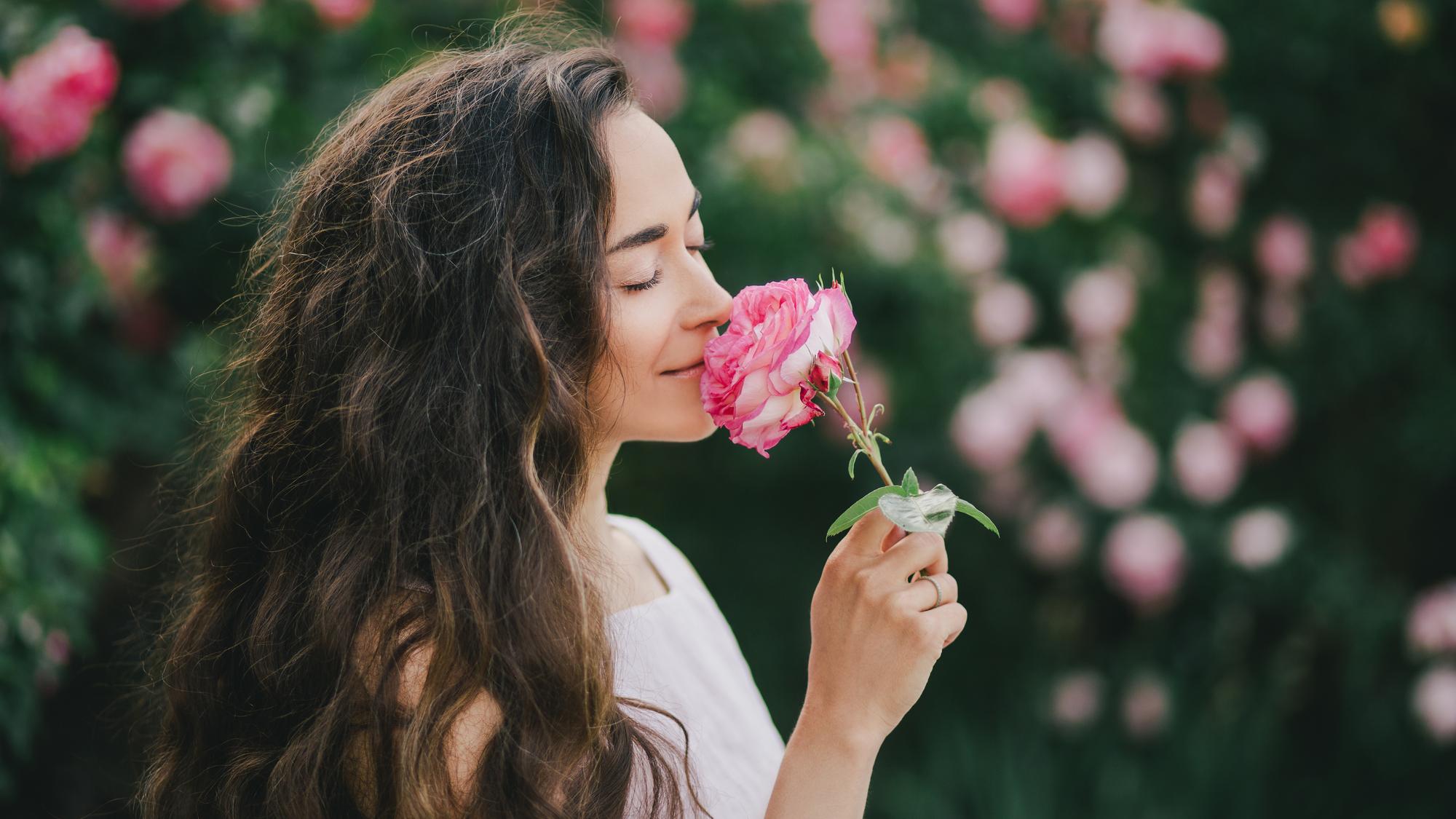 Beautiful young woman with long curly hair and perfect skin wearing pink linen dress posing near blooming roses in a garden.
