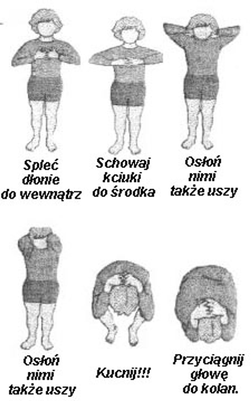 Tzw. pozycja żółwia, która chroni najważniejsze organy w razie ataku psa.
