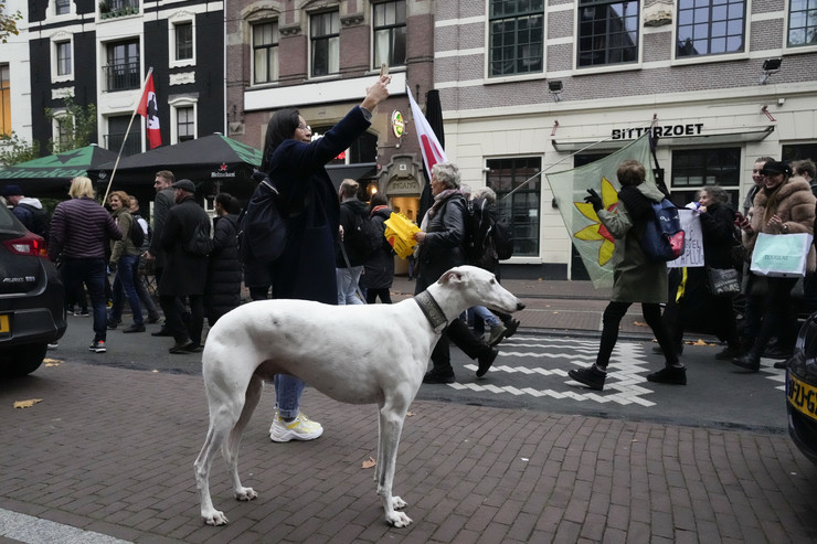 Protesti u Holandiji zbog korona mera