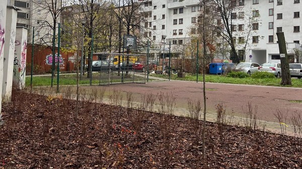 Efekt ujrzymy dopiero wiosną, ale po to właśnie są te prace. 