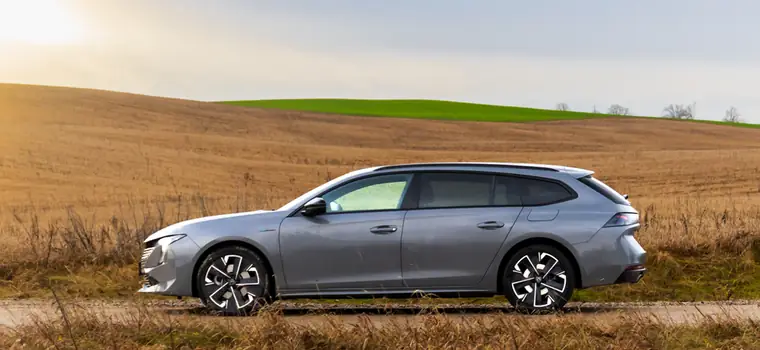 Peugeot 508 SW to piękne rodzinne kombi. W sam raz dla nowoczesnej rodziny