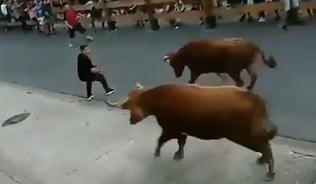 YT_Izbegavanje_bikova_vesti_blic_safe