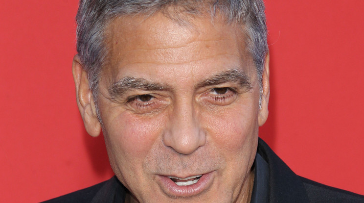 Clooney/Fotó:Northfoto