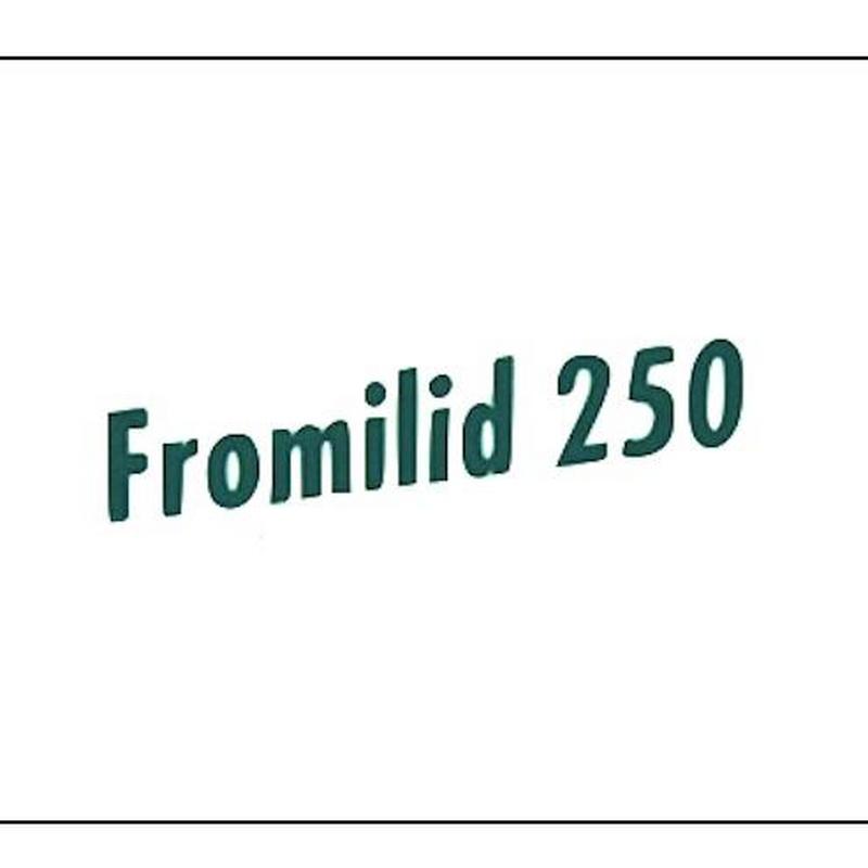 Fromilid Ulotka Tabletki 250 500 Mg Dawkowanie Leku