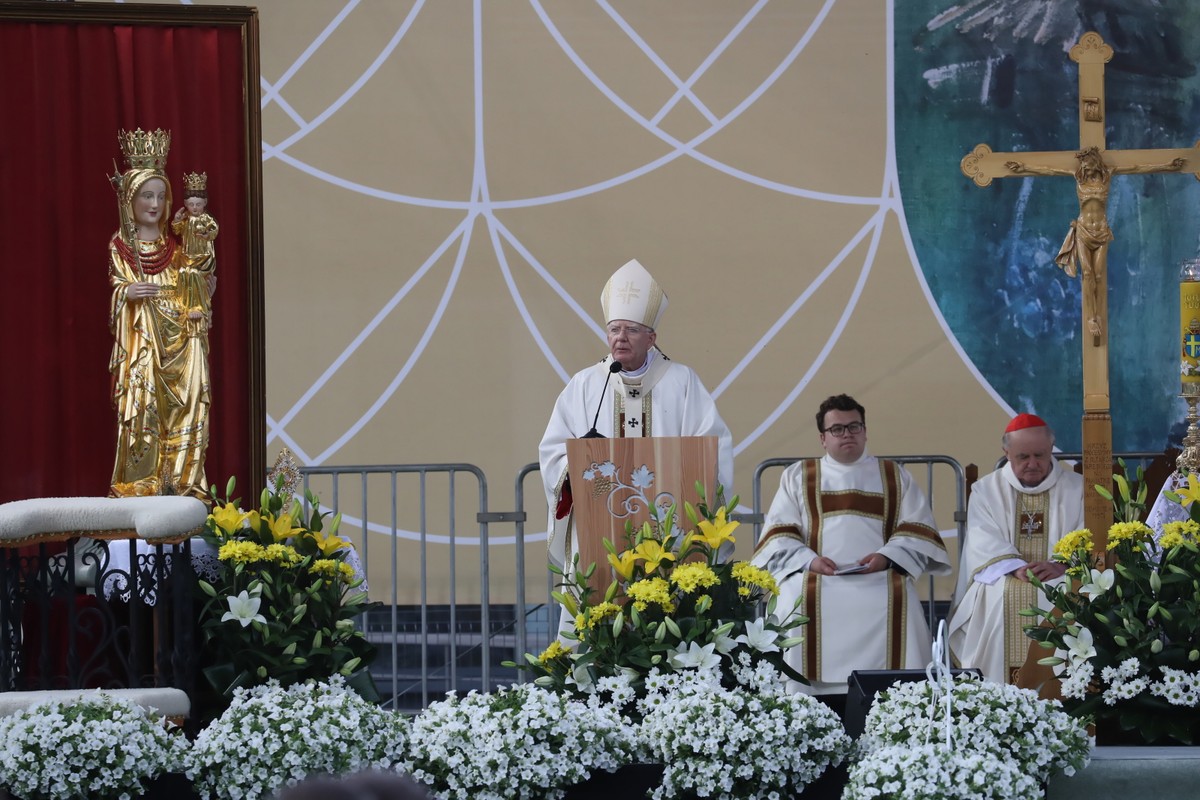 Marek Jędraszewski, Kazimierz Nycz
