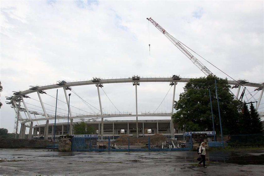 Pękły krokodyle na stadionie