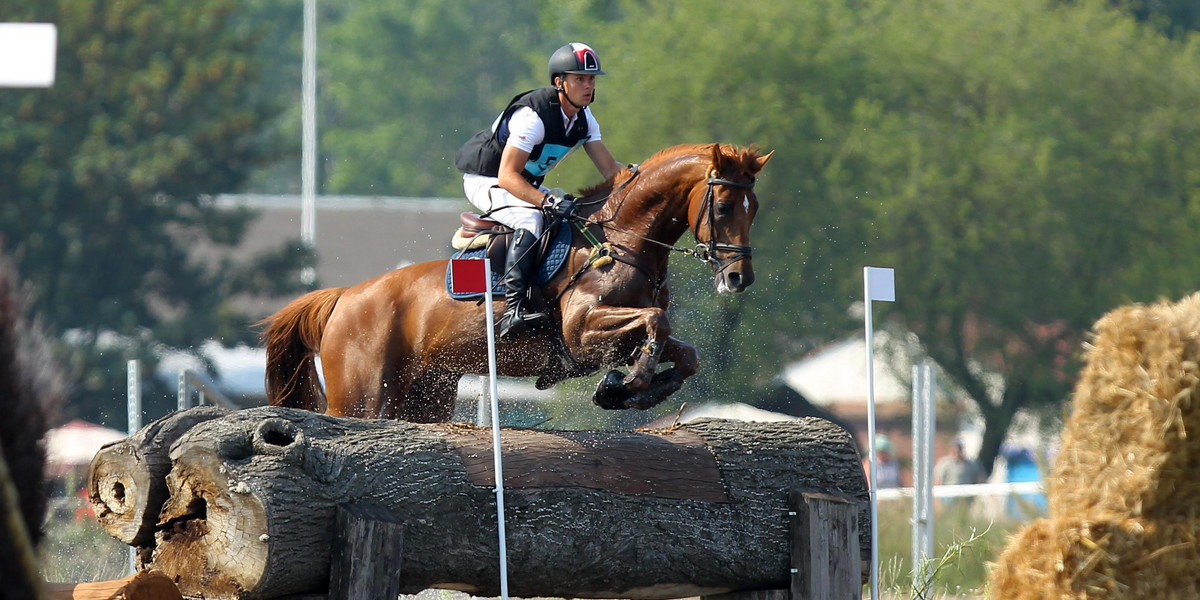 Koń Banderas leci na igrzyska w Rio