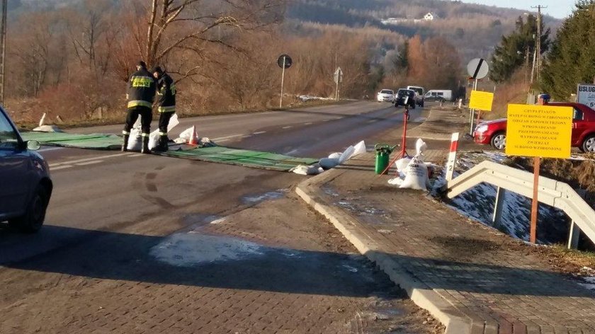 Ptasia grypa zagraża domowemu ptactwu