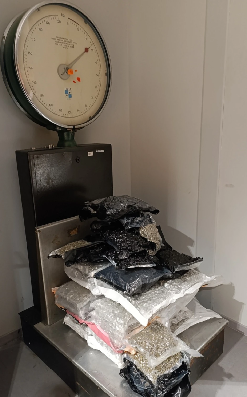 Zaplenjena marihuana