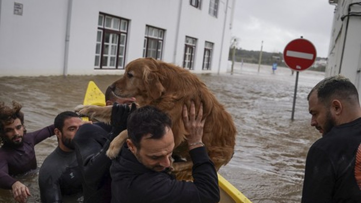 Oluja Leonardo u Portugalu