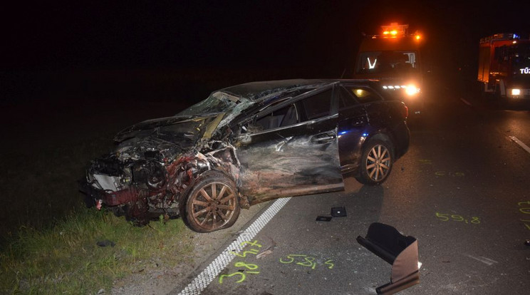 Vadon élő állat okozta a balesetet./ Fotó: Police