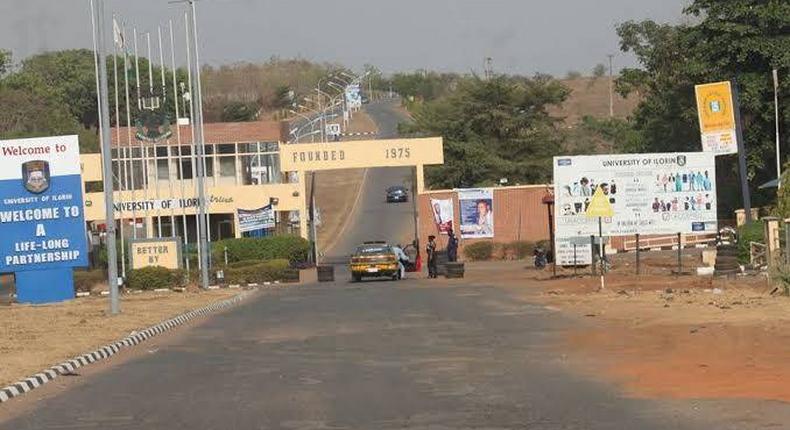 N600m Unilorin commercial poultry farm begins operations