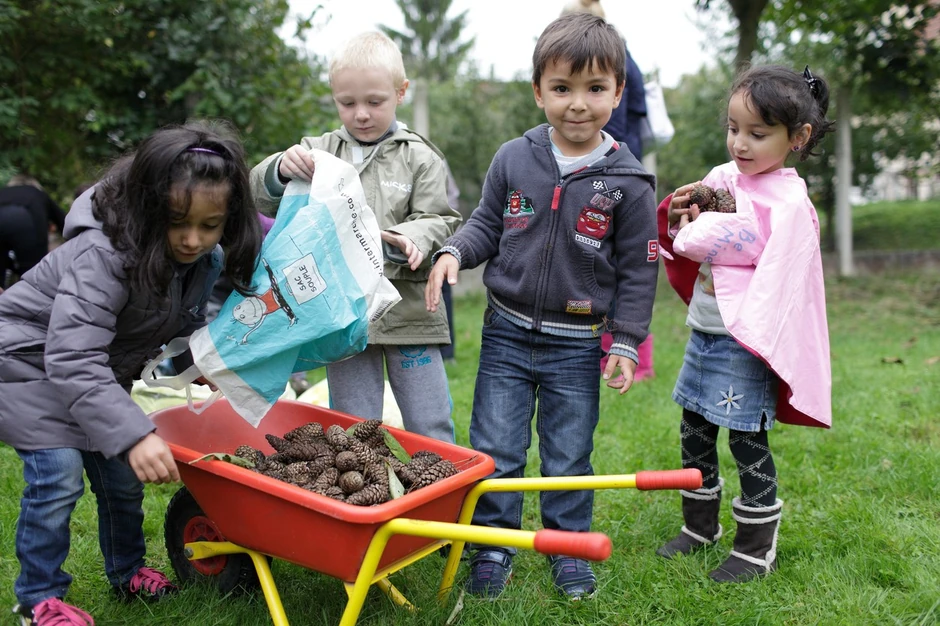 Deca uče da računaju uz pomoć šišarki (foto: ilustracija)