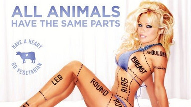 Pamela Anderson cała do zjedzenia