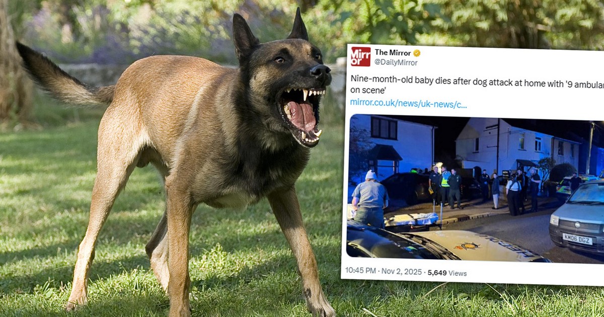 Po okolicy niósł się przeraźliwy skowyt. Nie żyje 9-miesięczne niemowlę