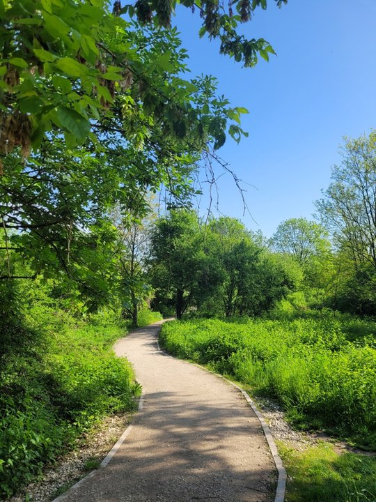 Park Zakrzówek w Krakowie otwarty dla mieszkańców