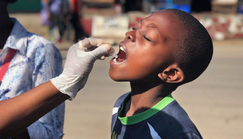 WHO reports 307,433 cholera cases & 2,326 deaths recorded in 7 months