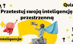 Co widzisz na obrazku? Trudny test na inteligencję przestrzenną, potrzebne bystre oko!