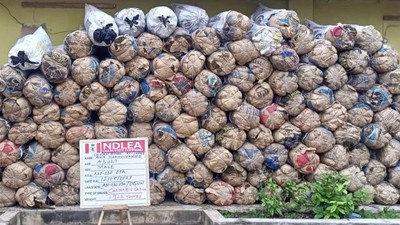 NDLEA seizes 369.903KG of illicit drug, arrests 73 suspects in Kaduna [Facebook:NDLEA]
