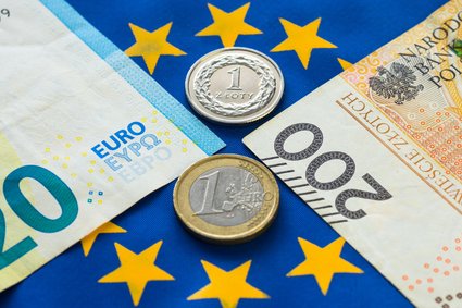 Złoty odrobił wojenne straty, euro najtańsze od lutego