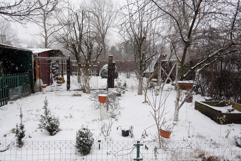 Burzą 11 ogródków, bo budują basen