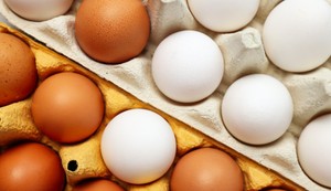Smeđa i bela jaja imaju istu nutritivnu vrednost