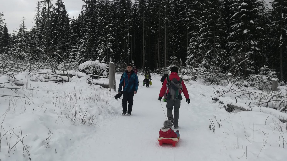 Tatry: Turyści ruszyli w góry. TOPR udzielił pomocy dwóm narciarzom