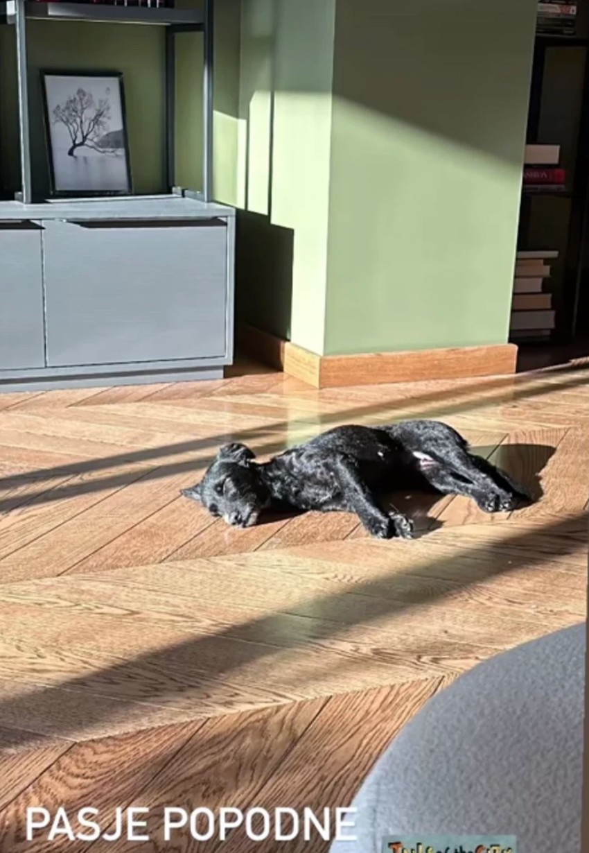 Stan Tamare Dragičević i Petra Benčine