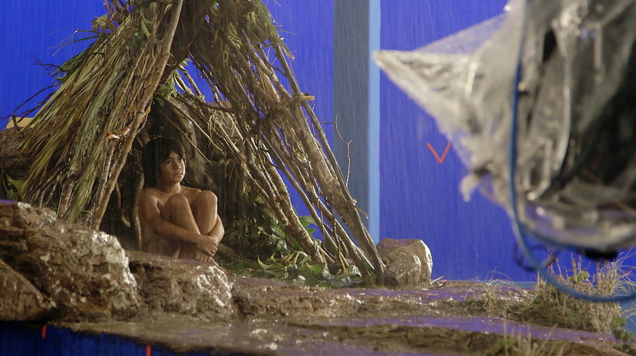 Today, green screens are a popular way for filmmaker's visions to come to life. After filming with a green screen, images are applied to the background during the editing process. While some movies, like "The Jungle Book", may look like they were filmed outside, they were actually filmed inside a studio in front of a green screen.