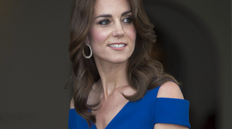 Katalin hercegné kék ruhában fogadta a vendégeket/Fotó:Europress Getty Images
