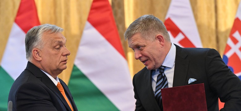 Niemcy zwracają uwagę: Konflikt z Ukrainą jest Orbanowi i Ficy na rękę