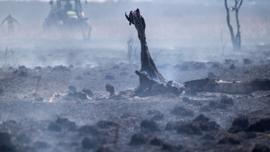 Dyrektor Biebrzańskiego Parku Narodowego odwołany ze stanowiska