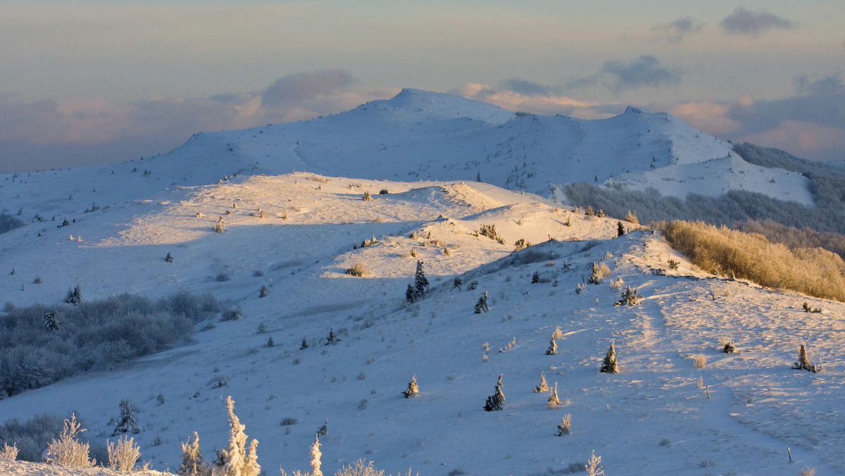 W Bieszczadach śnieg leży jedynie w niewielkich płatach powyżej górnej granicy lasu – poinformował dzisiaj ratownik dyżurny bieszczadzkiej grupy GOPR Jakub Dąbrowski.