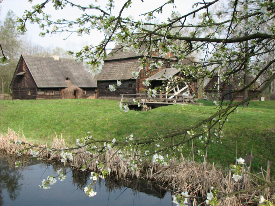 Muzeum Wsi Opolskiej (woj. opolskie)