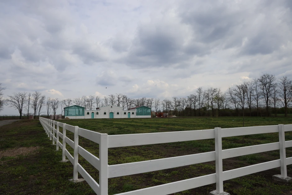 Branko Babić Ratkovo 