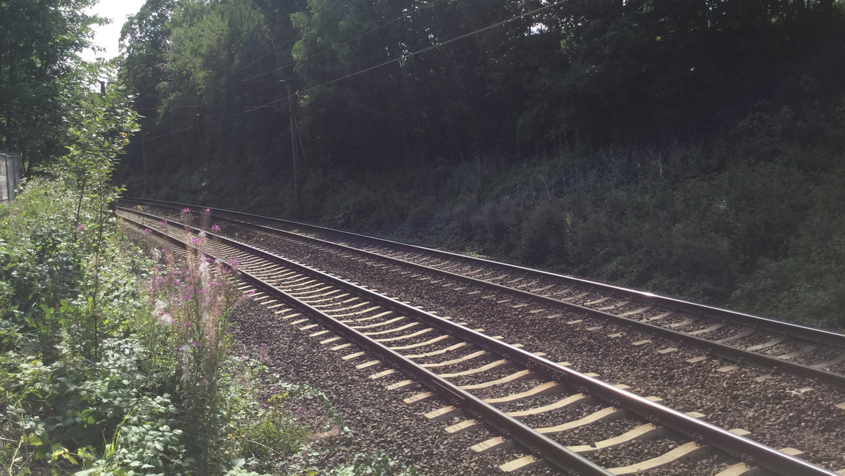 Rano na 65 kilometrze trasy kolejowej Wrocław-Wałbrzych rozpoczęły się dalsze poszukiwania "złotego pociągu". Tym razem eksploratorzy sprawdzą nasyp metodą nieinwazyjną. Badania potrwają co najmniej tydzień.