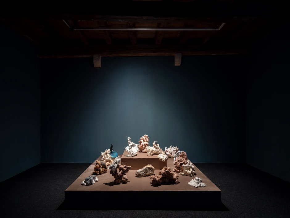 Meke forme, Darko Vučković