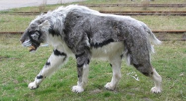 7 extremely rare animals on the brink of extinction