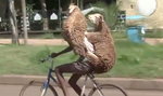 Dwie owce prowadzą rower? To nie tak jak myślisz!